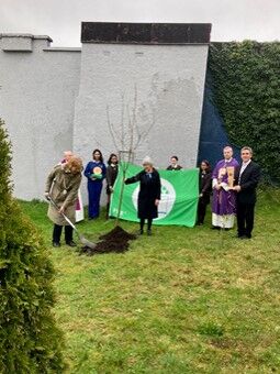 Planting the Tree