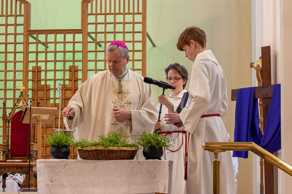 Bishop Fintan blesses shamrock at the Mass.