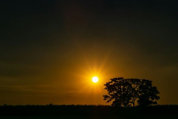 “Christ’s resurrection is not just an event of the past; it contains a vital power which has permeated the world. Where all seems to be dead, signs of resurrection suddenly spring up. It is an irresistible force,”