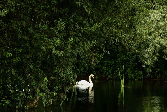   “The human person grows more, matures more and is sanctified more to the extent that he or she enters into relationships with God, with others and with all creatures.”