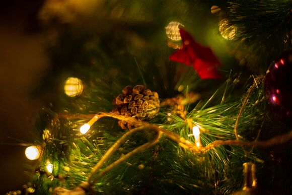 “In truth I tell you, anyone who does not welcome the kingdom of God like a little child will never enter it” (Luke 18:16).